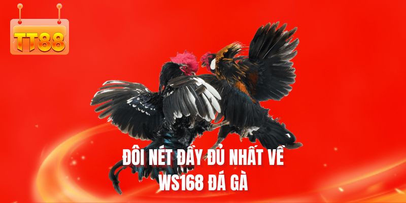 doi-net-day-du-nhat-ve-ws168-da-ga