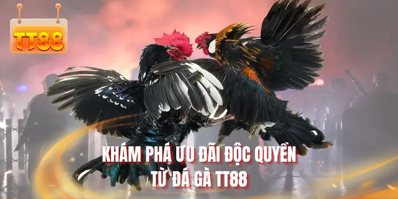 Khám phá ưu đãi độc quyền từ đá gà TT88